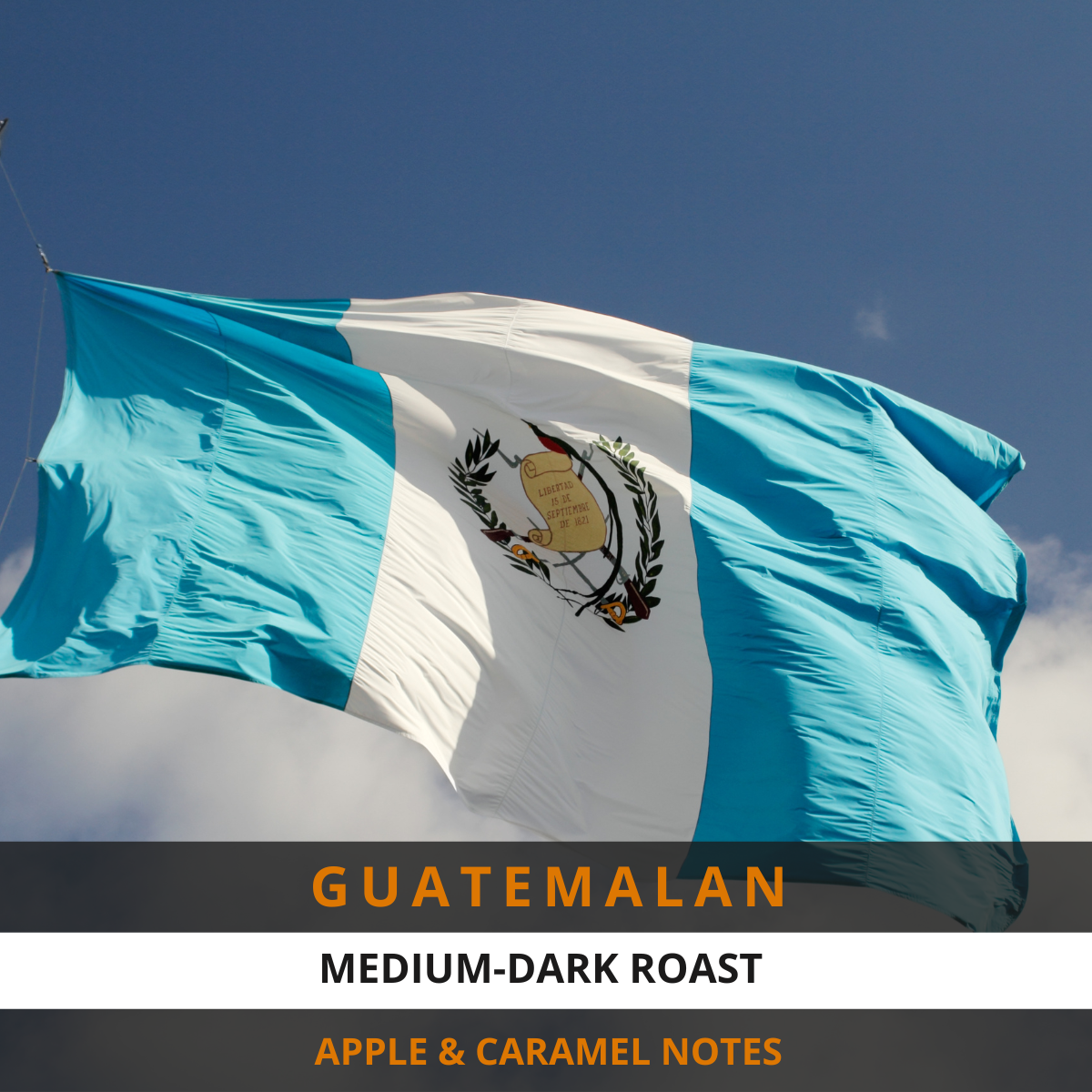 Guatemalan 12 oz