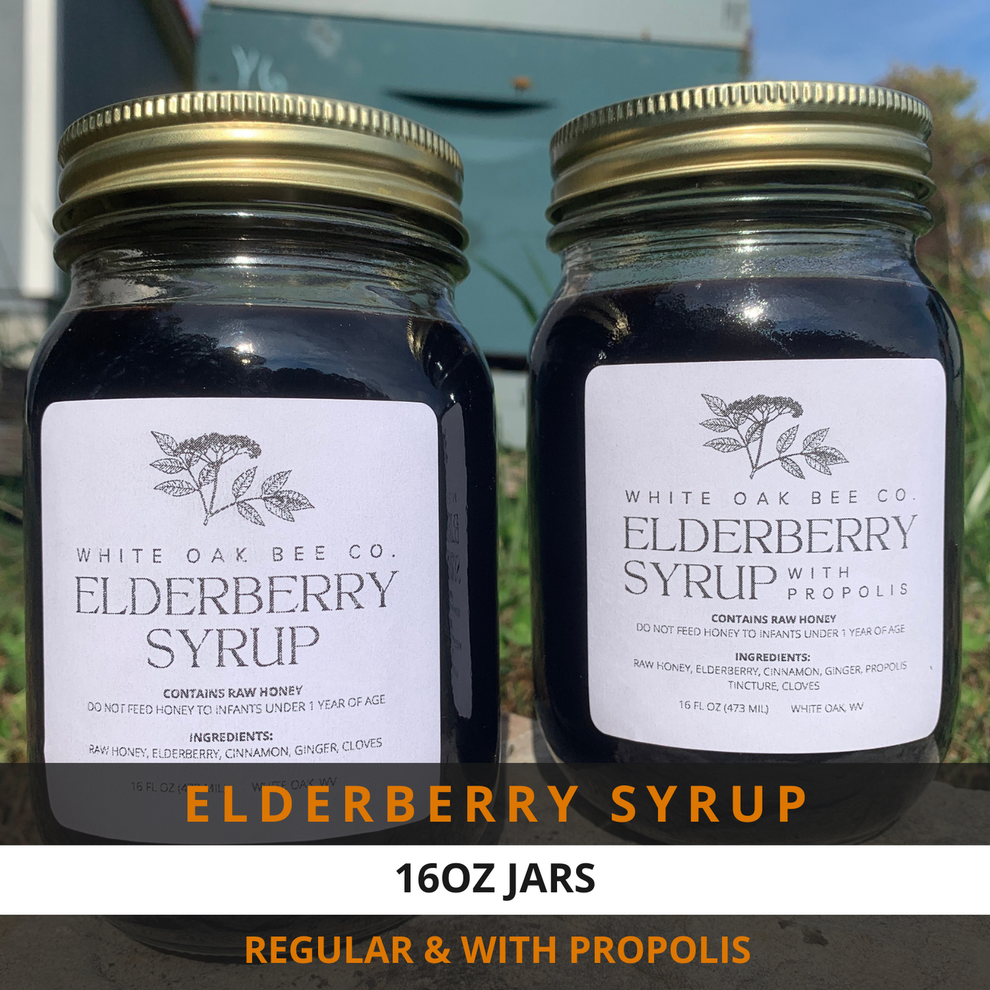 Elderberry Syrup