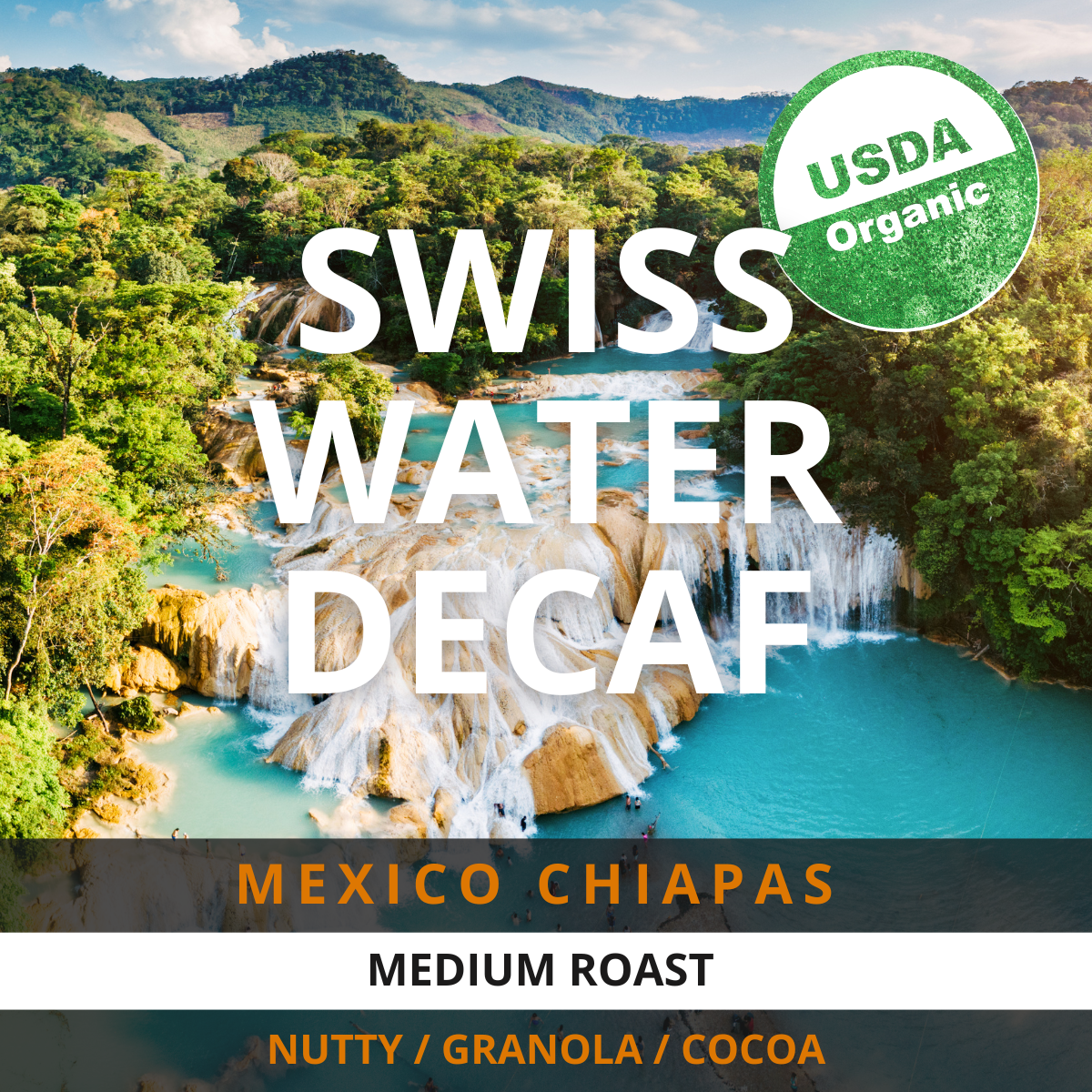 Mexico Chiapas Swiss Water Decaf 12 oz