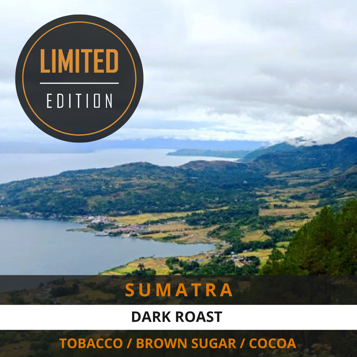 Sumatra 12 oz